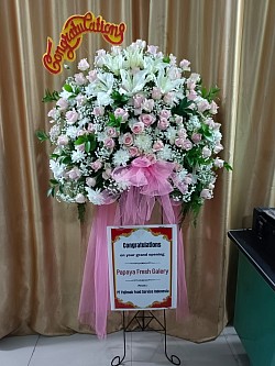 Bunga standing