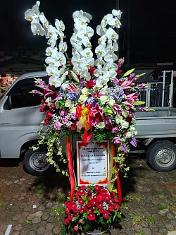 Bunga standing