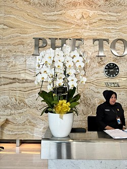 bunga meja